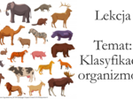 Klasa 5 - Klasyfikacja organizmów - prezentacja