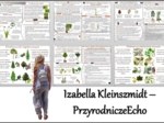 Zestaw sketchnotek/notatek/streszczeń/wklejek/ściąg dla ucznia i nauczyciela/edukacja domowa w pdf. Biologia 5 dział „Mchy. Paprotniki. Nagonasienne. Okrytonasienne”. Notatki zostały wykonane na podstawie podręcznika z wydawnictwa WSiP.