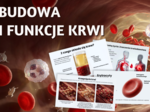 BUDOWA I FUNKCJE KRWI - prezentacja, lekcja - klasa 7, quiz, biologia, Puls Życia