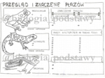 Klasa 6 - Płazy przegląd i znaczenie - karta pracy