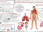 Sketchnotka „.Układ oddechowy zapewnia wymianę gazową” w power point do edycji, PRZYRODA do klasy 4 – dział IV „Odkrywamy tajemnice ciała człowieka”