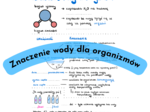 Znaczenie wody dla organizmów karta pracy/notatka/zadanie/eksperyment