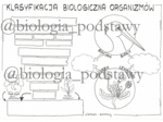 Klasa 5 - Klasyfikacja organizmów - sketchnotka