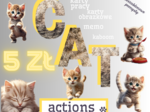 Cat - actions