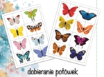 Wyszukiwanie i dobieranie połówek motyli