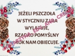 Zimowe i bożonarodzeniowe plakaty z przysłowiami