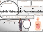 Przyrodnicze karty pracy dla klasy 4 w formacie pptx. Materiał zawiera 47 kart pracy do samodzielnego uzupełniania. Przyroda 4 - na podstawie wydawnictwa WSiP