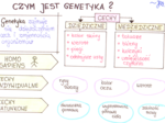 Czym jest genetyka? (sketchnotka)