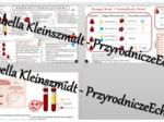 Sketchnotka - notatka „Budowa i funkcje krwi” wykonana w power point do edycji. Biologia 7; „Układ krążenia”