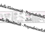 Sketchnotka - notatka „Różnorodność protistów” wykonana w power point do edycji. Biologia 5; „Wirusy, bakterie, protisty i grzyby”