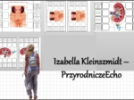 Notatka okienkowa „Budowa układu wydalniczego”, „Budowa nerki”, „Budowa i działanie układu wydalniczego” w pdf. Biologia 7 dział „Układ wydalniczy”.