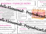 Sketchnotka - notatka „Budowa i funkcje skóry” wykonana w power point do edycji. Biologia 7; „Organizm człowieka. Skóra”