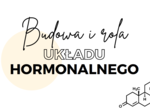 Układ hormonalny 3 KLASA ROZSZERZENIE BIOLOGIA