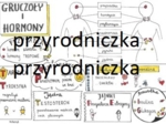 Biologia. Układ hormonalny (4karty)