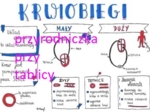 Klasa 7. Biologia. Krwiobiegi