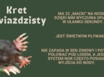 Zwierzęta rekordziści - najszybsze, największe, najdziwniejsze - prezentacja pdf