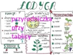 Klasa 5. Biologia. Łodyga