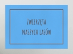 Kącik ekologiczny. Tablice z ilustracjami zwierząt, ptaków, ryb, owadów. Wystawa różnych gatunków.