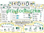 Klasa 8. Biologia. Ekosystem
