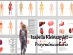Materiał do zalaminowania/praca w grupach/stacje zadaniowe/układanka/puzzle/notatki okienkowe. Temat: „Narządy i układy narządów człowieka”, „Organizm człowieka jako funkcjonalna całość” w pdf. Biologia 7 dział „Organizm człowieka. Skóra - powłoka organi