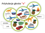 Artykulacja - S