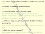 Odkrywamy tajemnice ciała człowieka (gra w statki na podsumowanie)