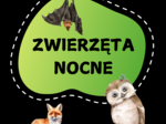 ZWIERZĘTA NOCNE