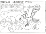 Klasa 6 - Ptaki - przegląd i znaczenie - KP