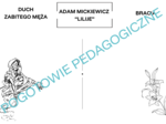 Adam Mickiewicz "Lilije" - notatka graficzna