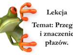 Klasa 6 - Płazy przegląd i znaczenie - prezentacja
