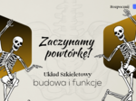 Układ szkieletowy – budowa i funkcje – ćwiczenia online na monitor interaktywny Biologia klasa 7/ Biologia zakres podstawowy// Interaktywna lekcja biologii