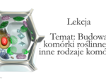 Budowa komórki roślinnej - klasa 5 - scenariusz