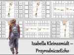Notatka okienkowa/stacja zadaniowe/notatka interaktywna/notatka graficzna/karta pracy/sketchnotka „Szkielet obręczy i kończyn”, „Szkielet obręczy”, „Szkielet kończyn” w pdf. „Szkielet kończyn”. Biologia 7, dział „Aparat ruchu”. Materiał wykonany na podst