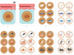 Phonics: SH CH SOUNDS