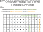 Organy wegetatywne i generatywne roślin (liście, łodyga, korzeń, owoce, kwiat)