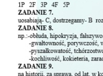 PRZED EGZAMINEM ÓSMOKLASISTY. Z BOHATERAMI ZEMSTY PRZYPOMINAMY WIADOMOŚCI Z ZAKRESU FLEKSJI