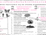 Sketchnotka „Wpływ człowieka na różnorodność biologiczną”. Biologia klasa 8, dział IV „Człowiek i środowisko” Materiał cyfrowy