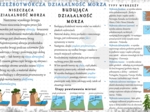 Sketchnotka/notatka „Rzeźbotwórcza działalność morza”. Geografia 1, Dział VI „Litosfera. Procesy zewnętrzne”. OBLICZA GEOGRAFII 1