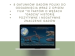 Przegląd i znaczenie gadów - gra zgadnij kto to