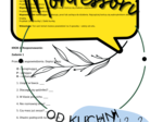 Wypowiedzenia: oznajmujące, pytające i rozkazujące – karta pracy krok po kroku
