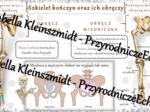 Sketchnotka - notatka „Szkielet kończyn i obręczy” wykonana w power point do edycji. Biologia 7; „Aparat ruchu”