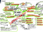 Tkanki roślinne biologia klasa 5 - mapa myśli