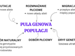 ewolucja organizmów KLASA 4 ROZSZERZENIE BIOLOGIA
