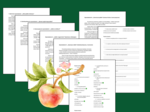 📚📝 Pakiet 6 opowiadań na DZIEŃ JABŁKA – z pytaniami i zadaniami dla uczniów 🍎 CZYTANIE ZE ZROZUMIENIEM – kl. 4-6 – opowiadanie + odpowiedzi