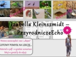 Pomysł na lekcję/karta pracy/stacje zadaniowe/notatki/ materiał do lekcji do tematu „Konkurencja” w pdf. W gratisie niekomercyjny scenariusz lekcji/pomysł na lekcję w programie genial.ly do edycji. Na podstawie wydawnictwa Nowa Era. Biologia 8. Dział „Ek