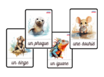 Les animaux sauvages, Dzikie zwierzęta, język francuski, karty obrazkowe i wyrazowe FLE