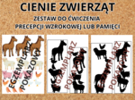 CIENIE ZWIERZĄT zestaw do ćwiczenia percepcji wzrokowej lub pamięci