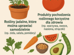 Lekcja 12 – Z ogrodu na talerz - rośliny, które warto jeść.