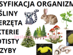 klasyfikacja organizmów