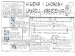 Klasa 7 - Higiena i choroby układu krążenia - sketchnotka